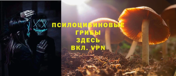 тгк Абаза