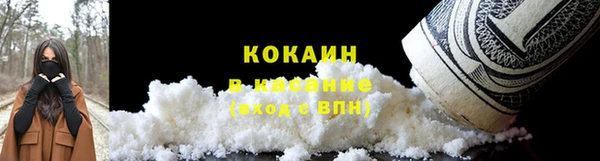 тгк Абаза
