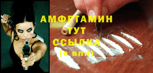 тгк Абаза