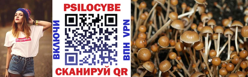 купить наркоту  Дмитровск  Галлюциногенные грибы Cubensis 